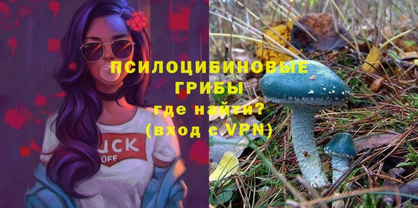 синтетический гашиш Алексин