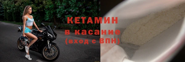 прущие грибы Абинск