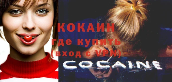 прущие грибы Абинск